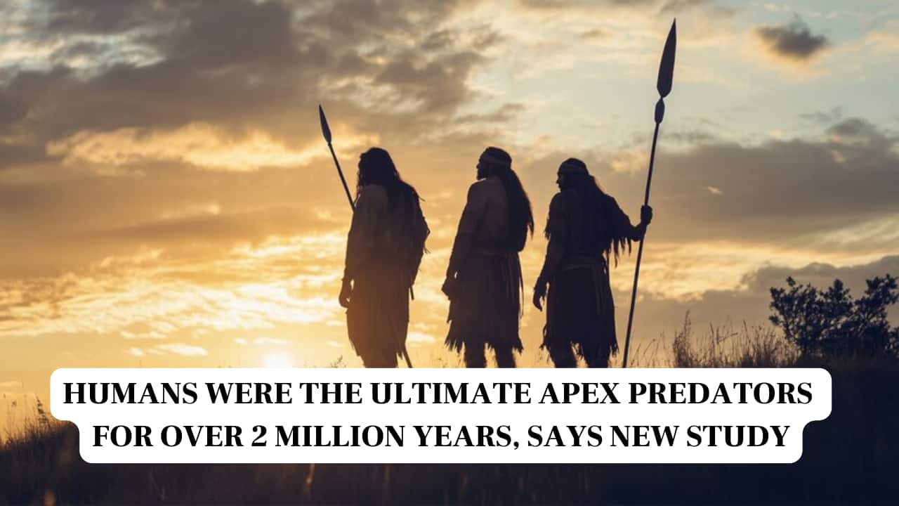 Humans were the ultimate apex predators for over 2 million years, says new study