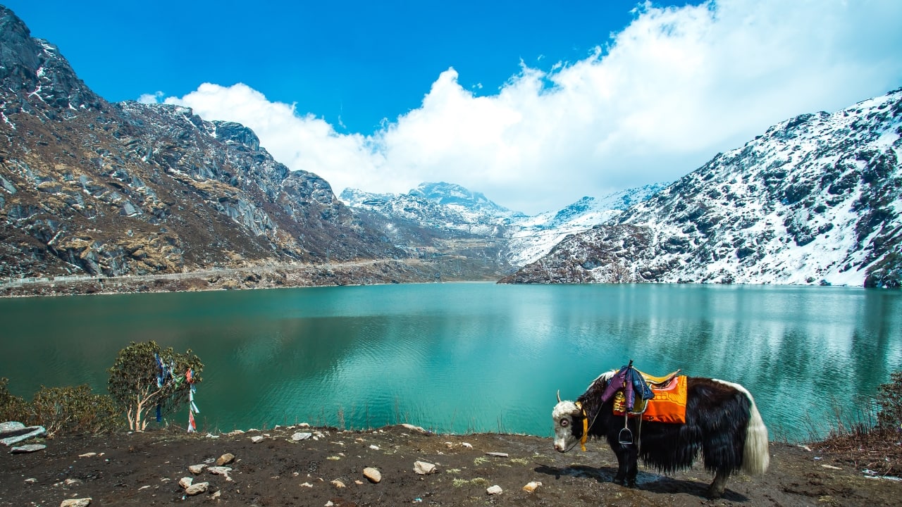 Tsomgo Lake, Sikkim (Image: Canva)