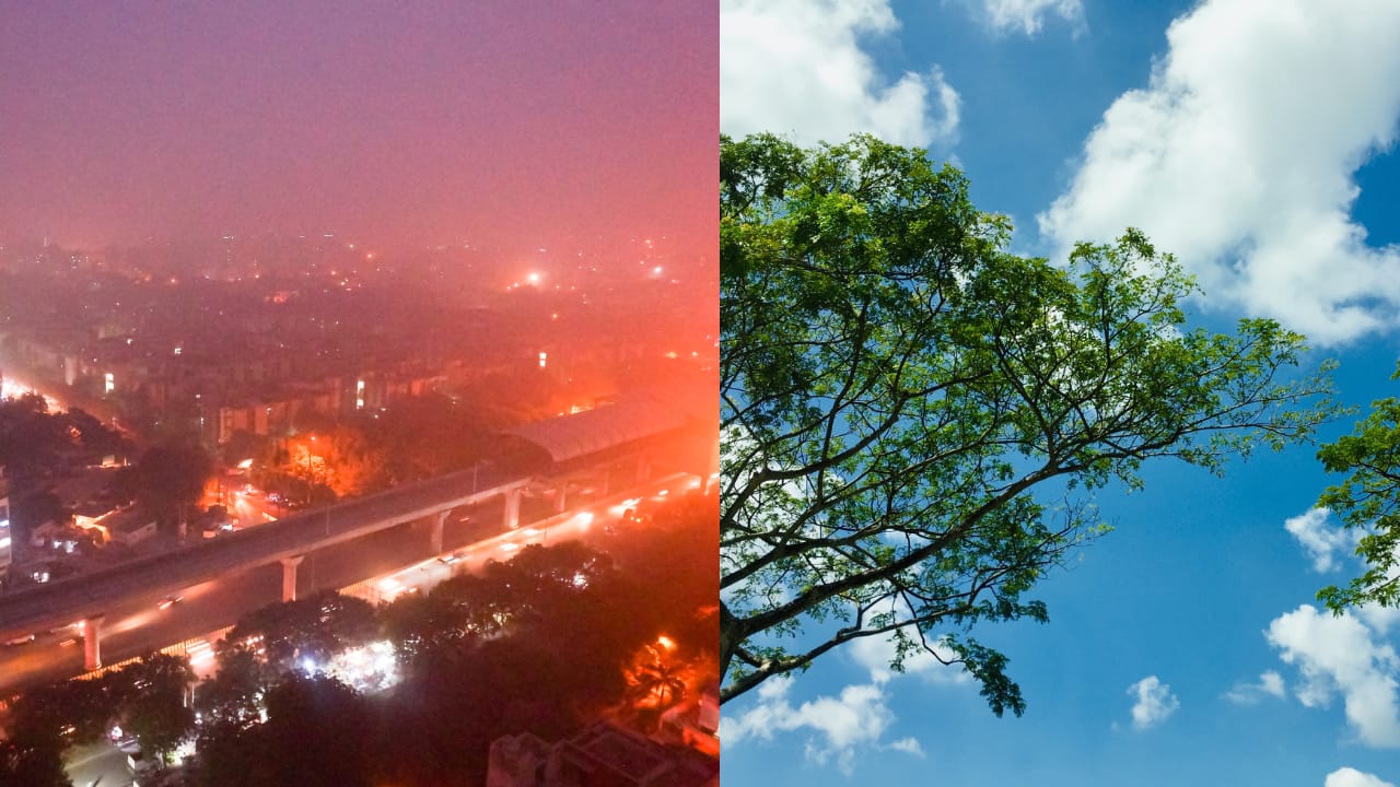 Delhi suffocates at AQI 400+ while northeast offers air so pure you will want to relocate