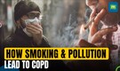 Explained: What is COPD? How does smoking & air pollution contribute to its development?