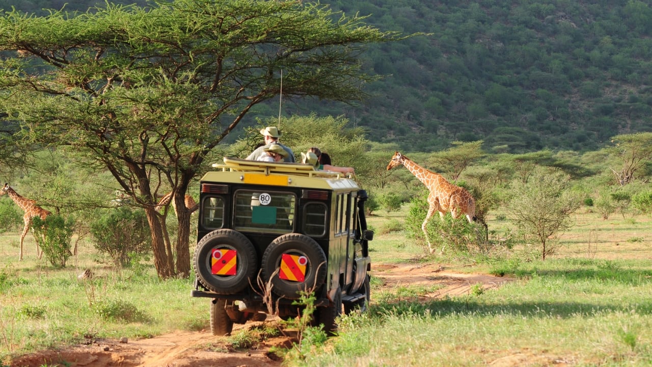 Experience the thrill of a safari and the beauty of Kenya’s natural wonders. (Image: Canva)