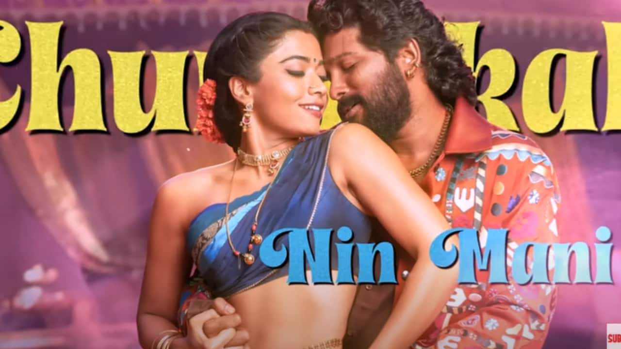 Pushpa 2 - Pushparaj and Srivalli's Peeling song to release on December 1, watch promo