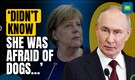 “Didn’t know she was afraid of dogs…”Vladimir Putin apologises to ex-German Chancellor Merkel | N18G