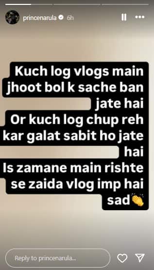 Prince Narula's Instagram Story