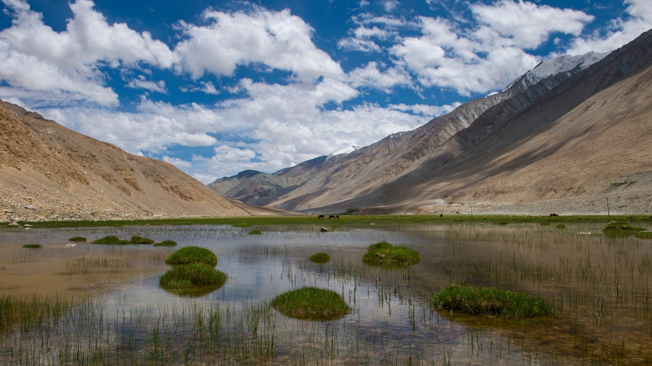 Chumathang Hot Spring: Ladakh's hidden oasis of healing and serenity