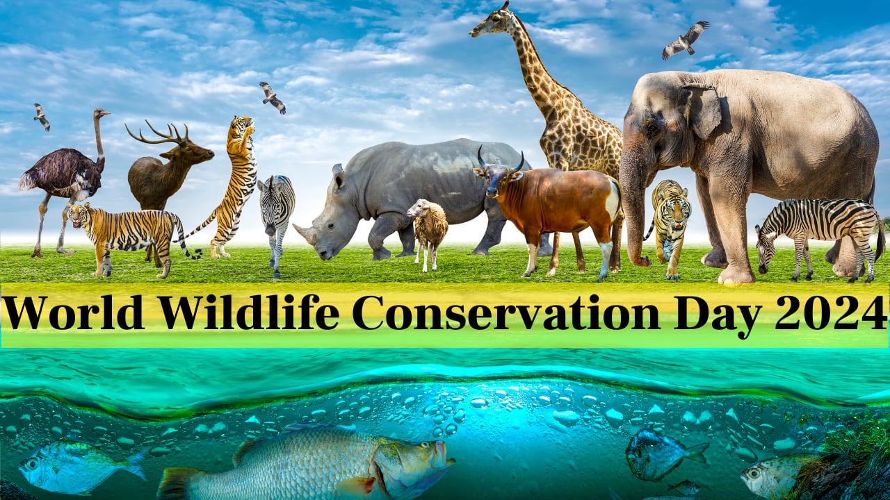 World Wildlife Conservation Day 2024 Date, History, and Significance