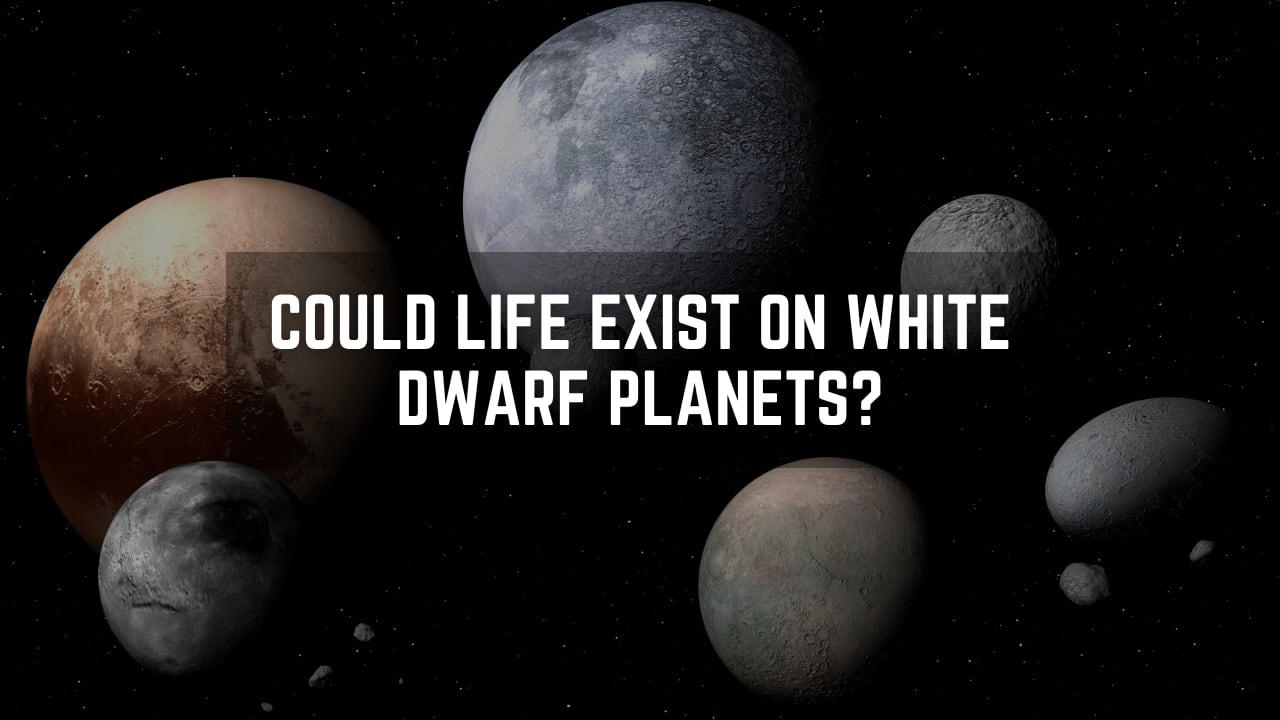 Could life exist on white dwarf planets? New study reveals surprising possibilities