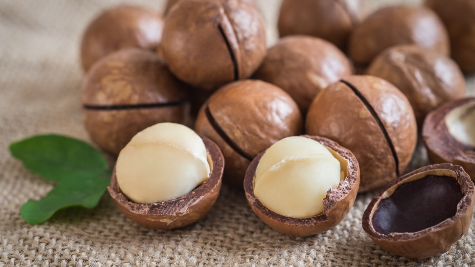 Unlock the health benefits of macadamia nuts for heart, brain, and skin  health