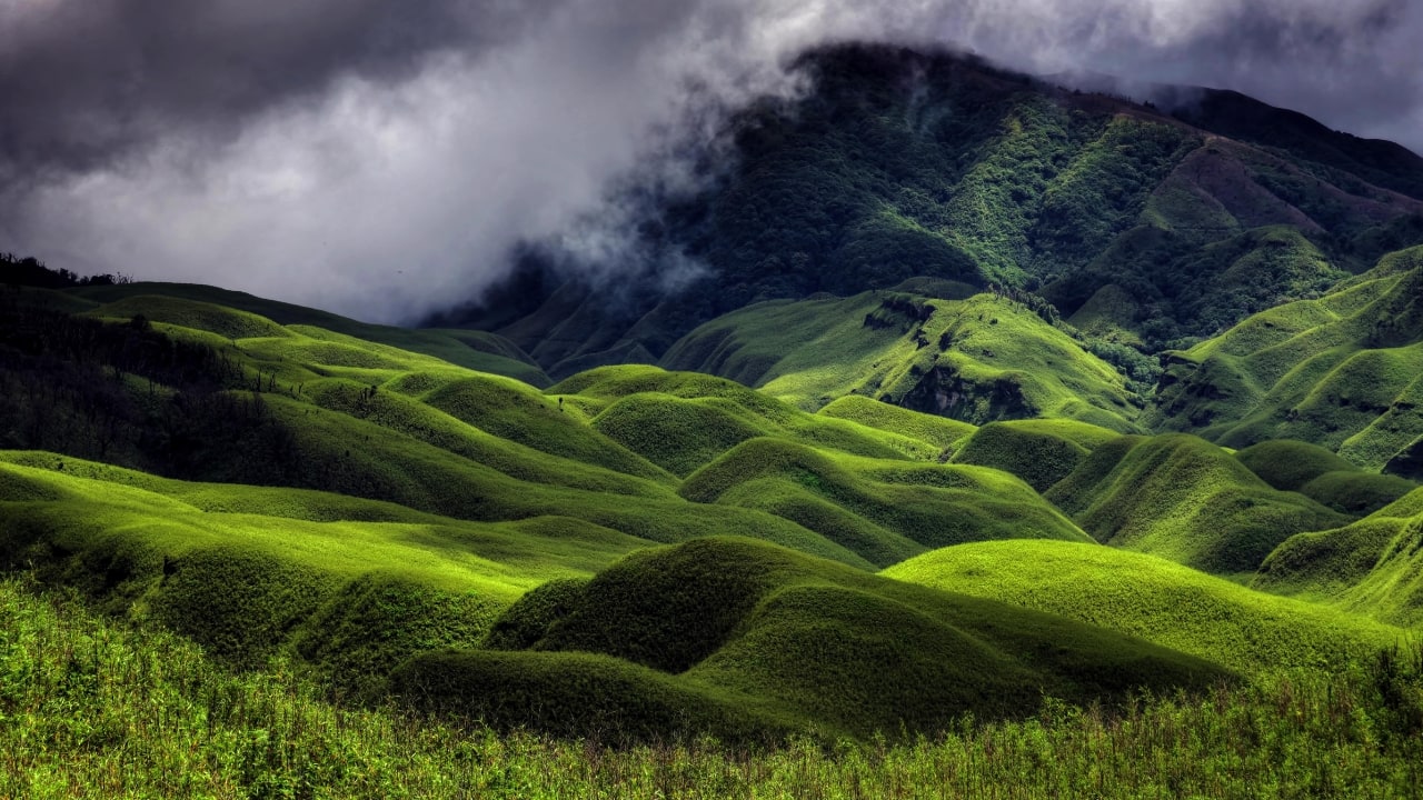 A valley blanketed in vibrant flowers, offering a serene, dreamlike atmosphere. (Image: Canva)
