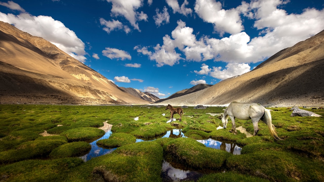 Deep blue waters and stunning mountain views make this lake an enchanting, surreal destination.(Image: Canva)