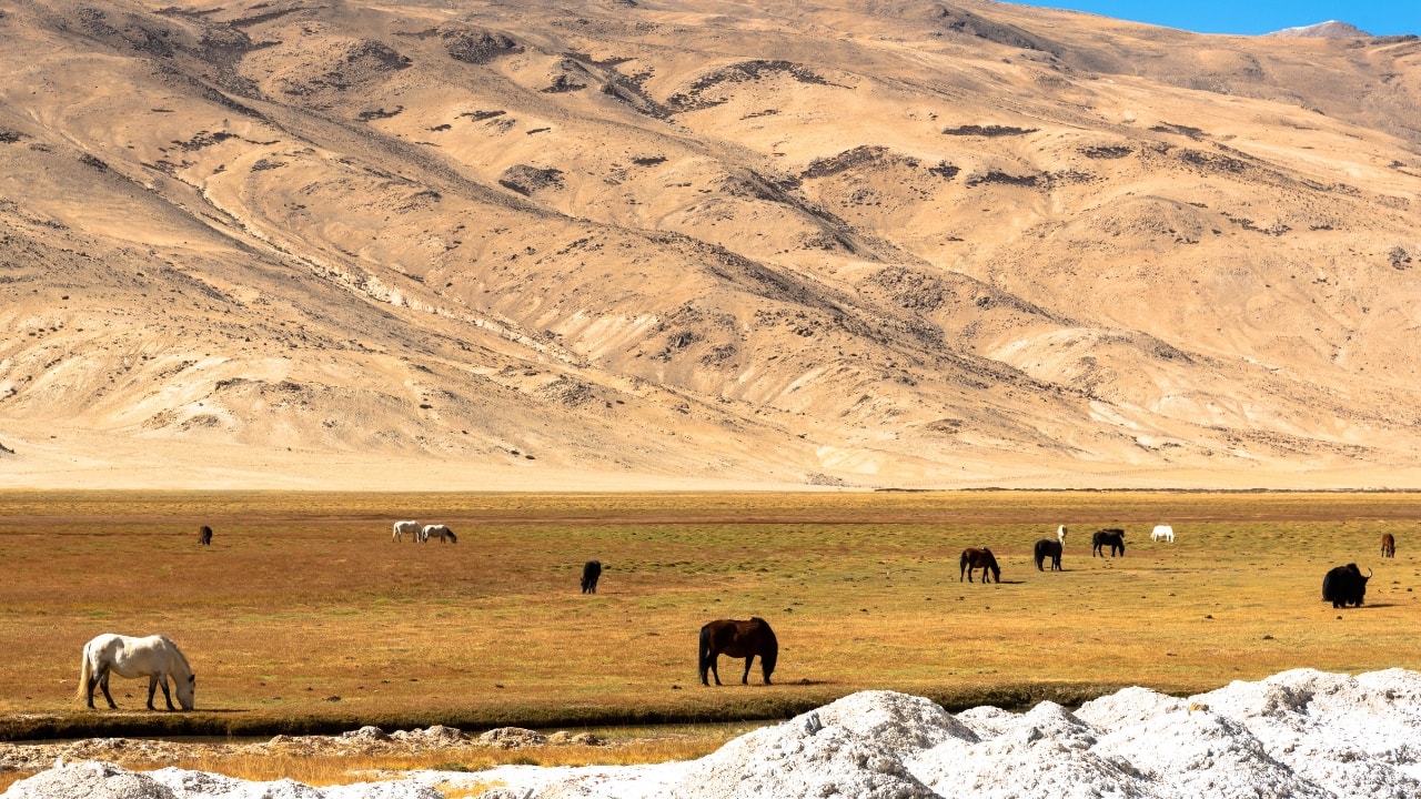Geothermal springs and sulfuric geysers create a moon-like landscape in this remote valley. (Image: Canva)
