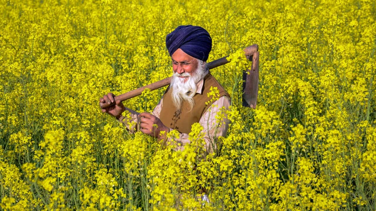 PM Kisan 21st installment released: How to check if you have received Rs 2000 payment
