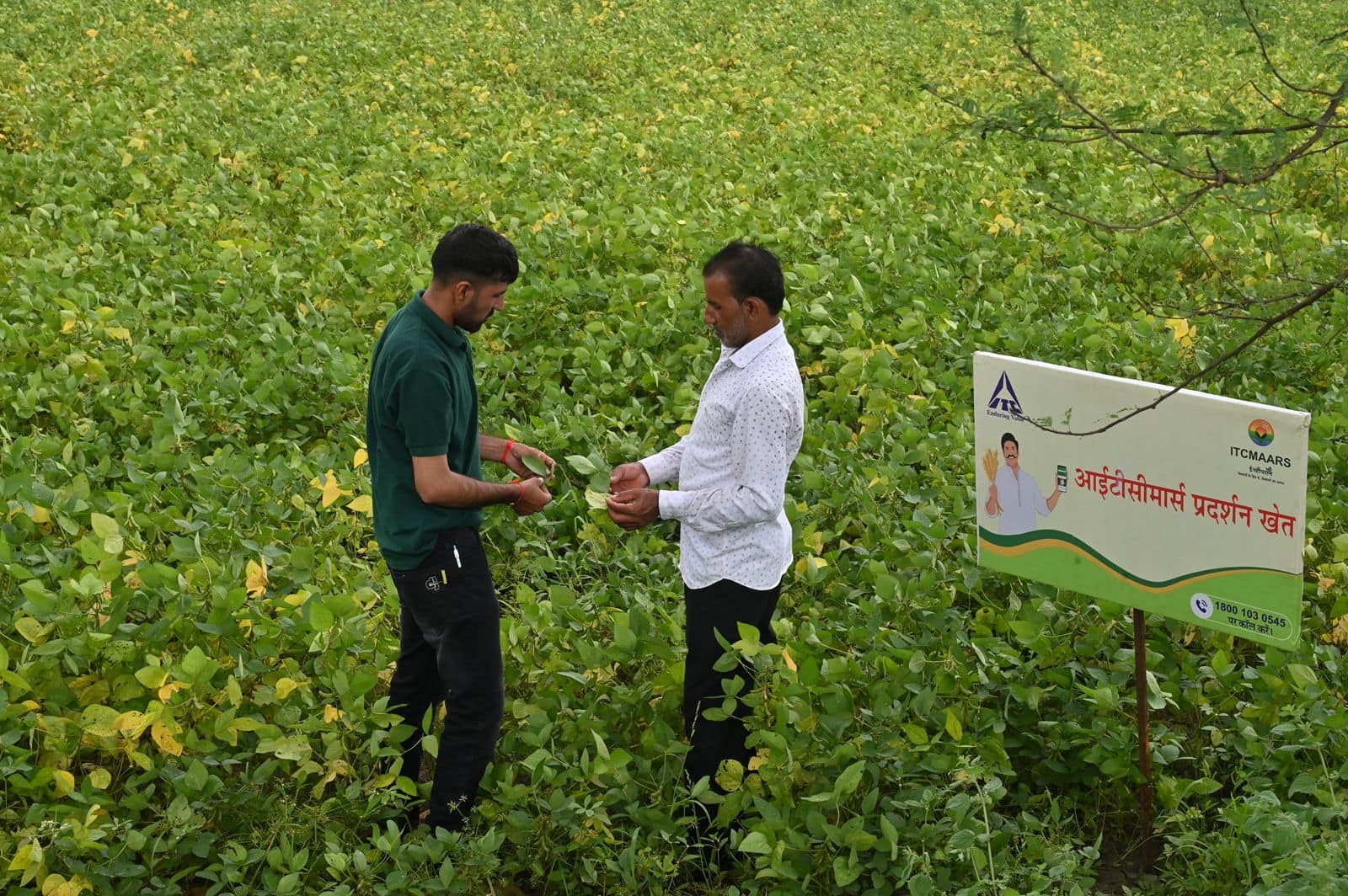 ITCMAARS aims to support 4,000 FPOs by 2030, benefitting 10 million farmers