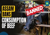 Assam bans consumption of beef, MoS MEA Pabitra Margherita calls it “golden period of development”