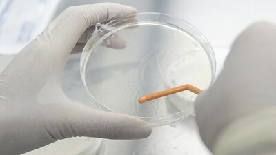 A new report calls to develop, adopt non-animal lab testing tech to pivot India as R&D hub
