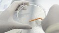A new report calls to develop, adopt non-animal lab testing tech to pivot India as R&D hub