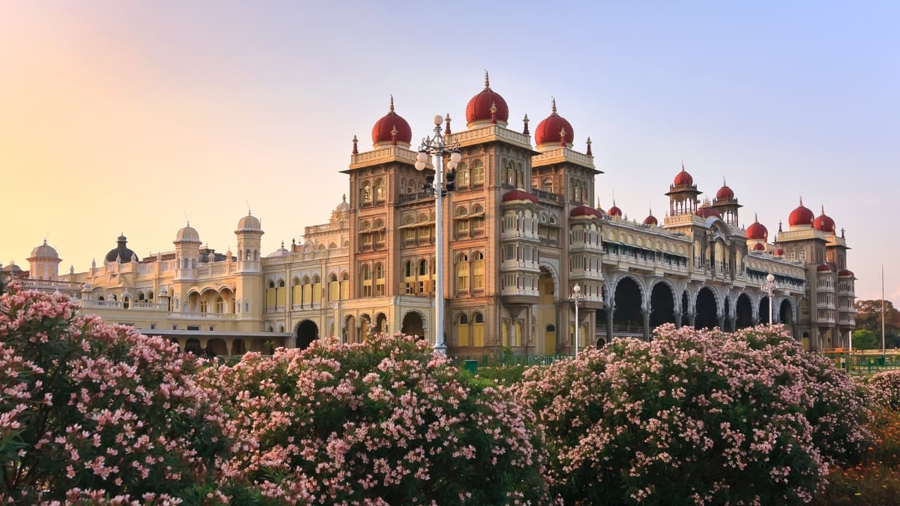 12 money-saving tips to experience the best of India on a budget