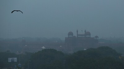 Delhi winter