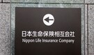 Nippon Life to buy Resolution in $8.2 bn deal as it pursues US growth