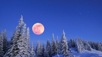 As the full Moon closest to the winter solstice, this will be the Long Night Moon. (Image: Canva)