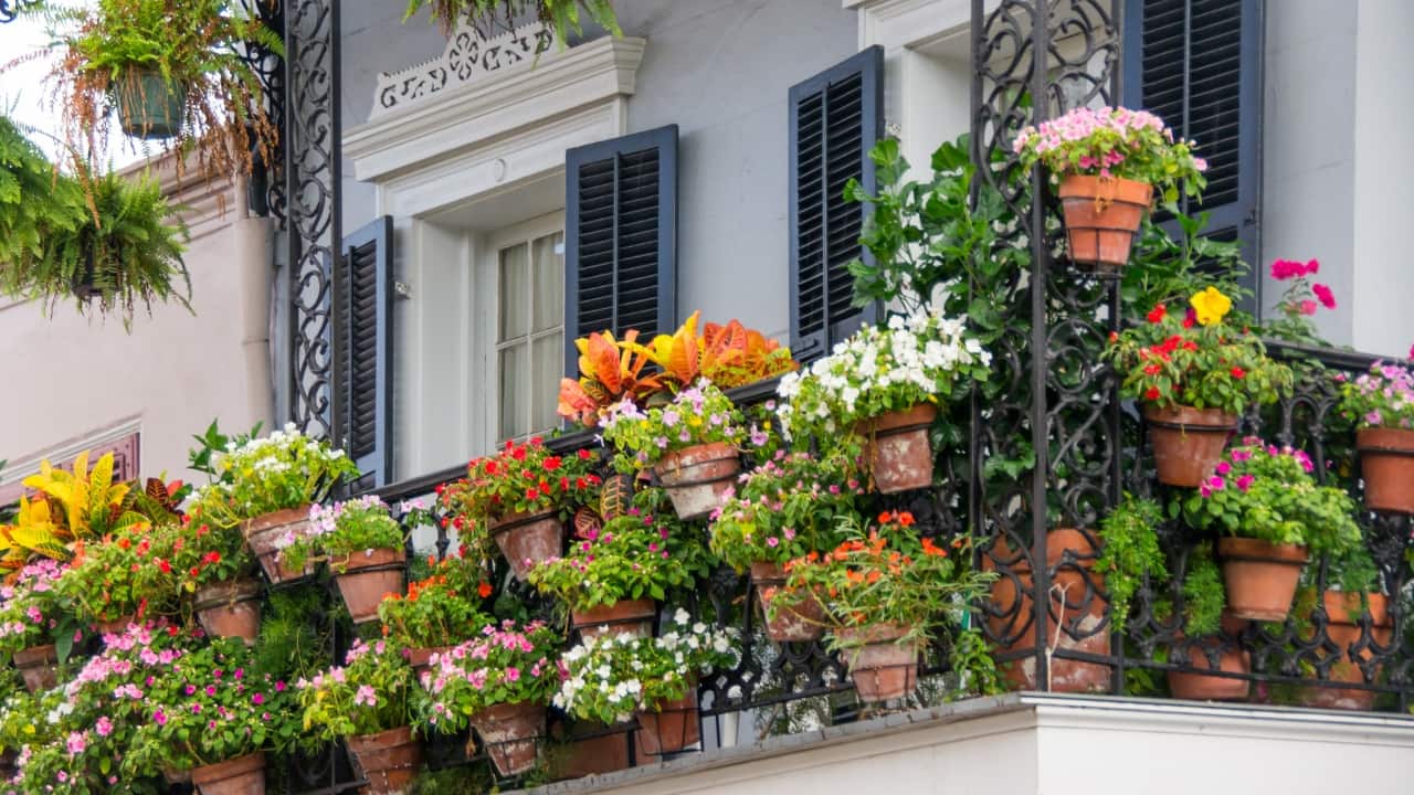 Home gardening tips: Here's how to start a small garden on your balcony Home gardening tips: Here's how to start a small garden on your balcony