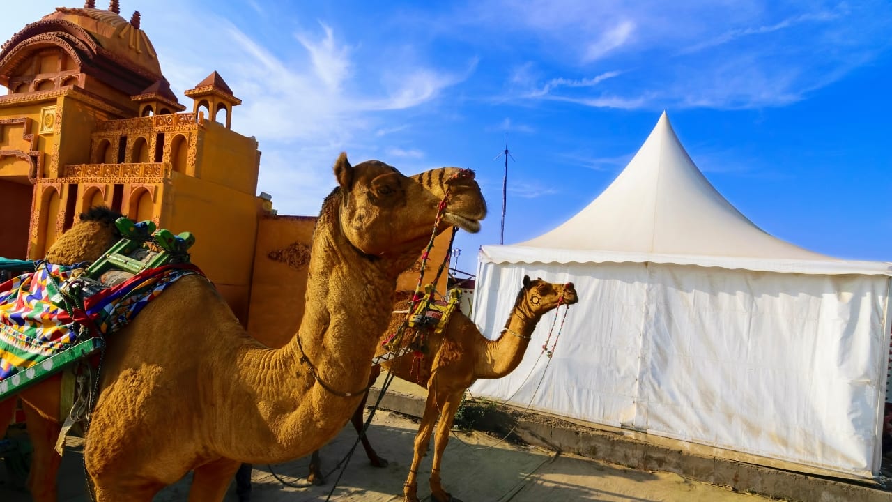 15 Best Places to Visit in Kutch During the Rann Utsav