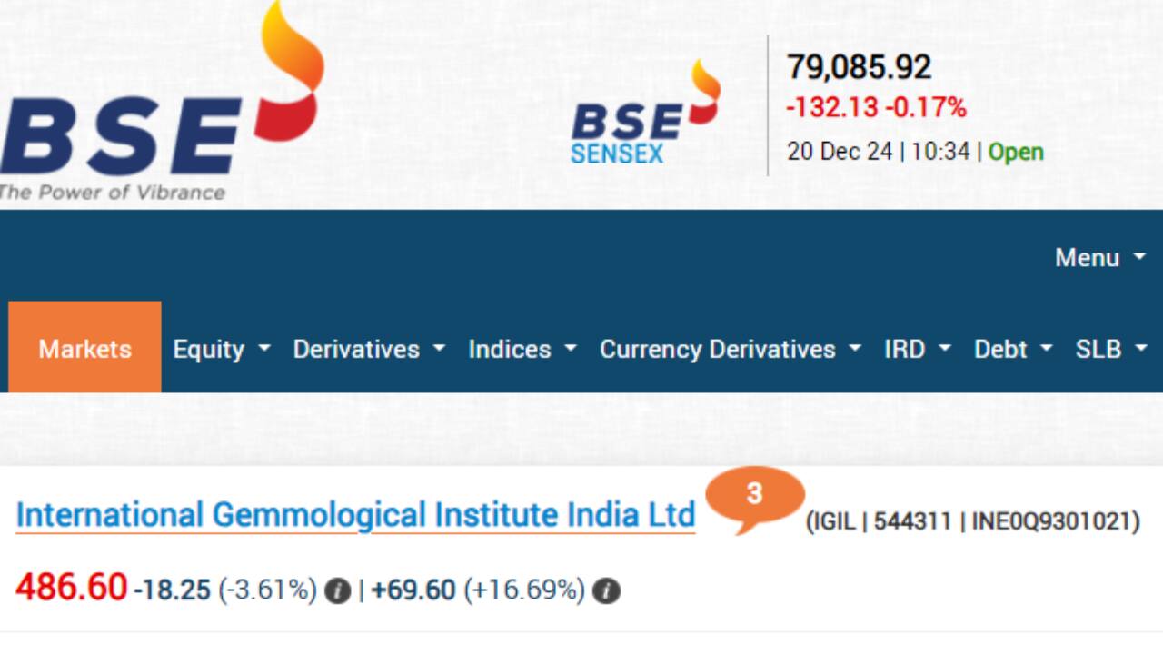 International Gemmological share price, IGI Share Price, IGI stock price, IGI Listing Price, IPO GMP, IPO GMP Today, Business News, Business News Live