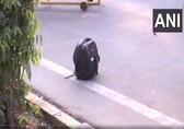Suspicious bag found outside Delhi BJP office, cops on high alert