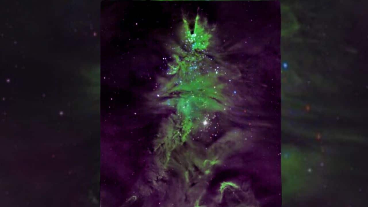 NASA spots 'Christmas tree' and 'cosmic wreath' displaying star cycle in space; see images