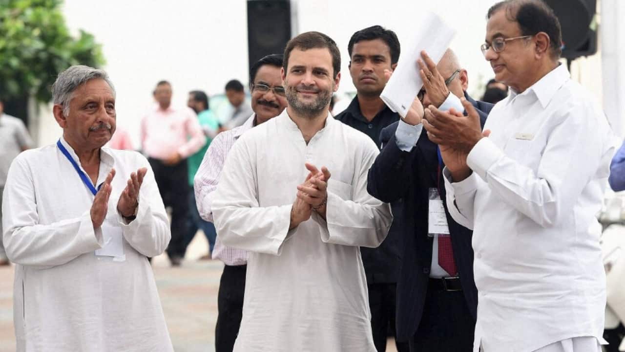 BJP leader calls Rahul Gandhi 'roaming stray politician' over dogs