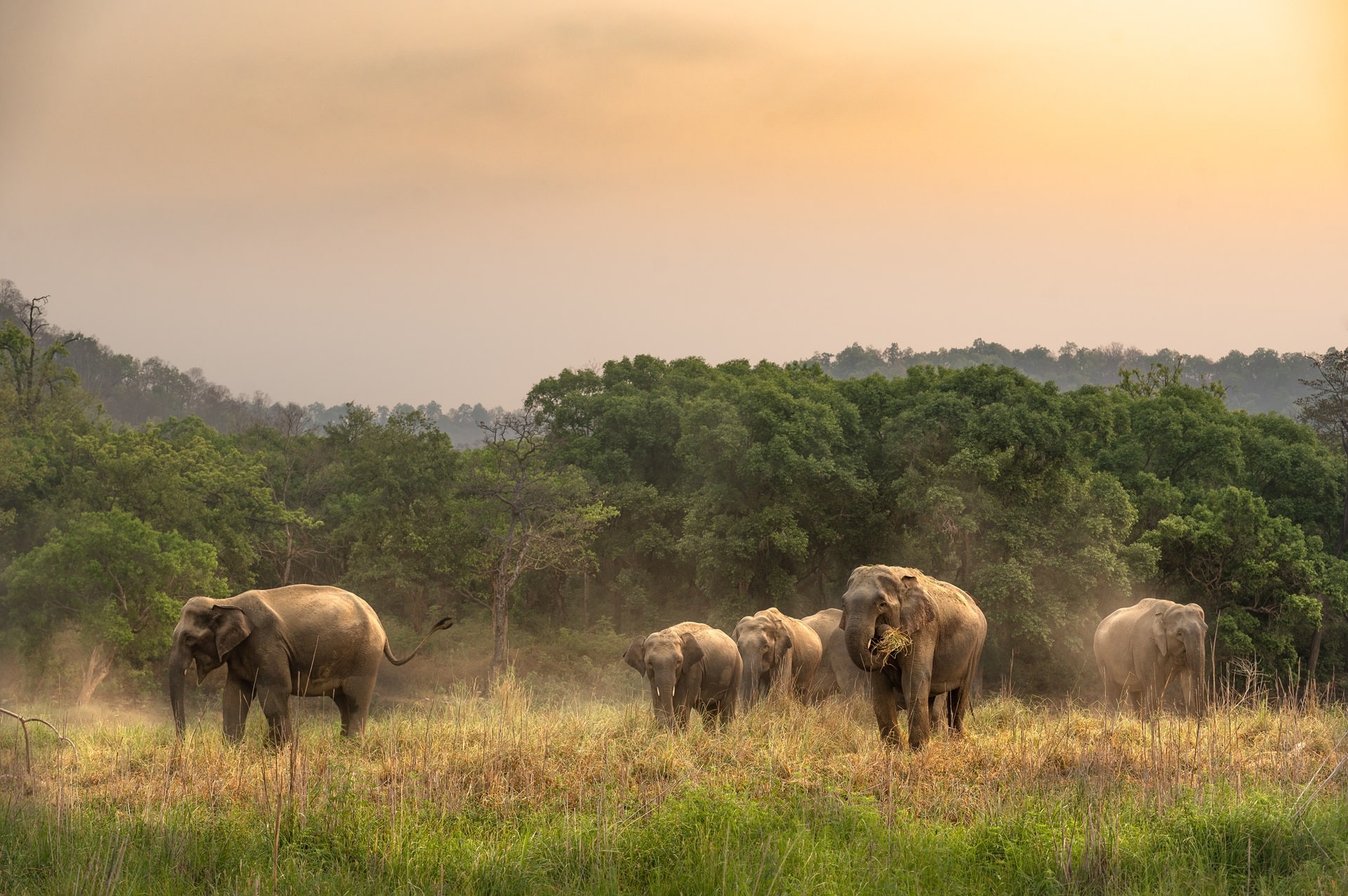 Stargazing at Jim Corbett’s new observatory offers a stunning view of the night sky.