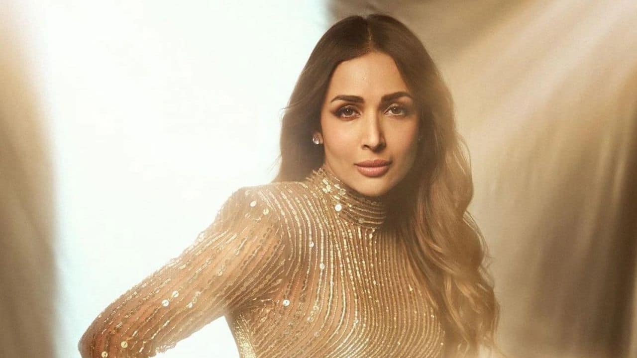 Malaika Arora talks about financial stability in a marriage, says, "Independent rakho baba, Jo tera hai voh..."