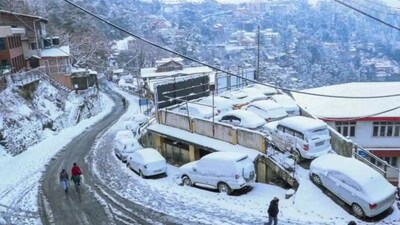 Shimla snowfall: This shift from a thick white blanket to barren, brown hillsides is more than a seasonal quirk 