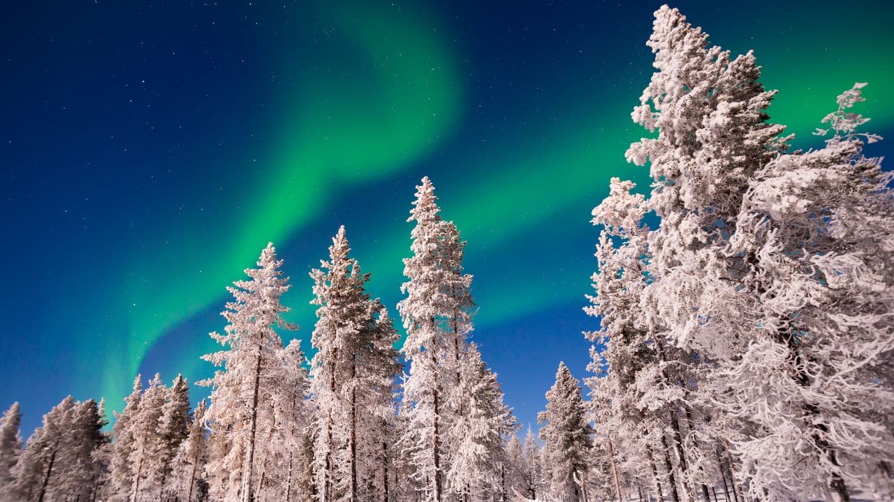 Christmas northern lights 2024: Where and how to watch the mesmerising aurora borealis