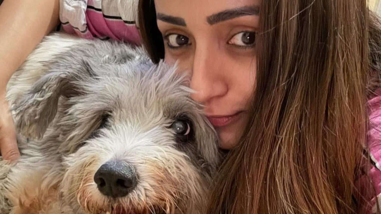 Trisha Krishnan grieves the loss of beloved dog Zorro on Christmas, says "My life has zero meaning henceforth"