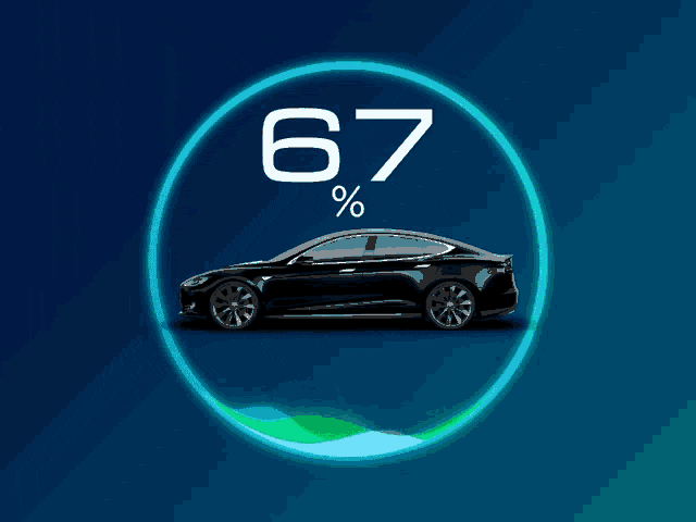 EVs in 2024: Record sales amid subsidy cut