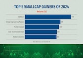 2024 Top 5 gainers and losers: Smallcap and midcap performers