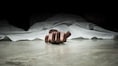 NEET topper from Maharashtra dies by suicide on admission day: ‘Didn't want to be a doctor'