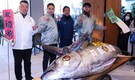 Fish as big and heavy as motorbike sold for Rs 11 crore in Tokyo market