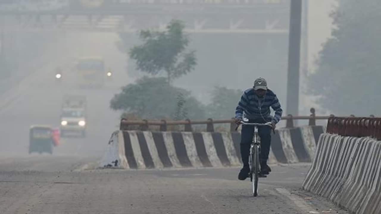 Why Delhi was unusually warm this winter? Here're the reasons for rising temperature Why Delhi was unusually warm this winter? Here're the reasons for rising temperature
