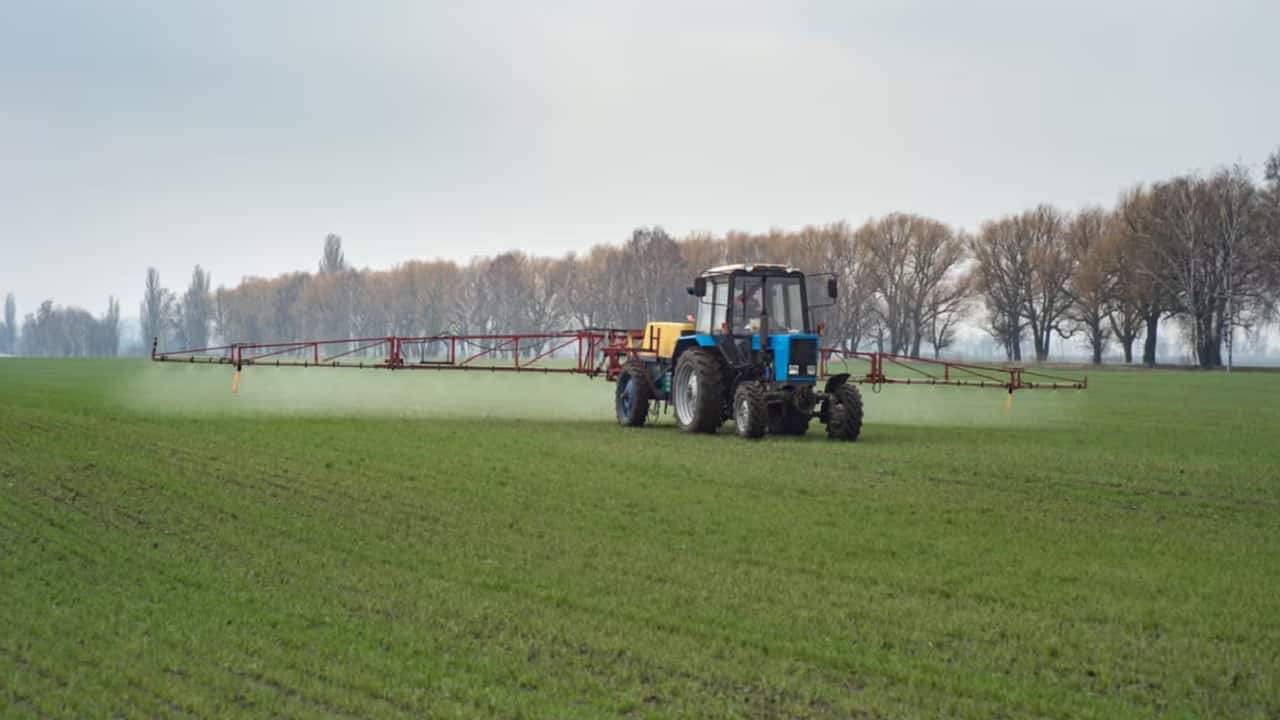 Agriculture sector needs imaginative policies in Budget 2025  