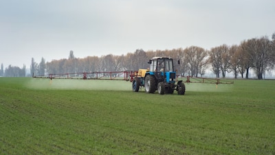 Agriculture sector needs imaginative policies in Budget 2025  