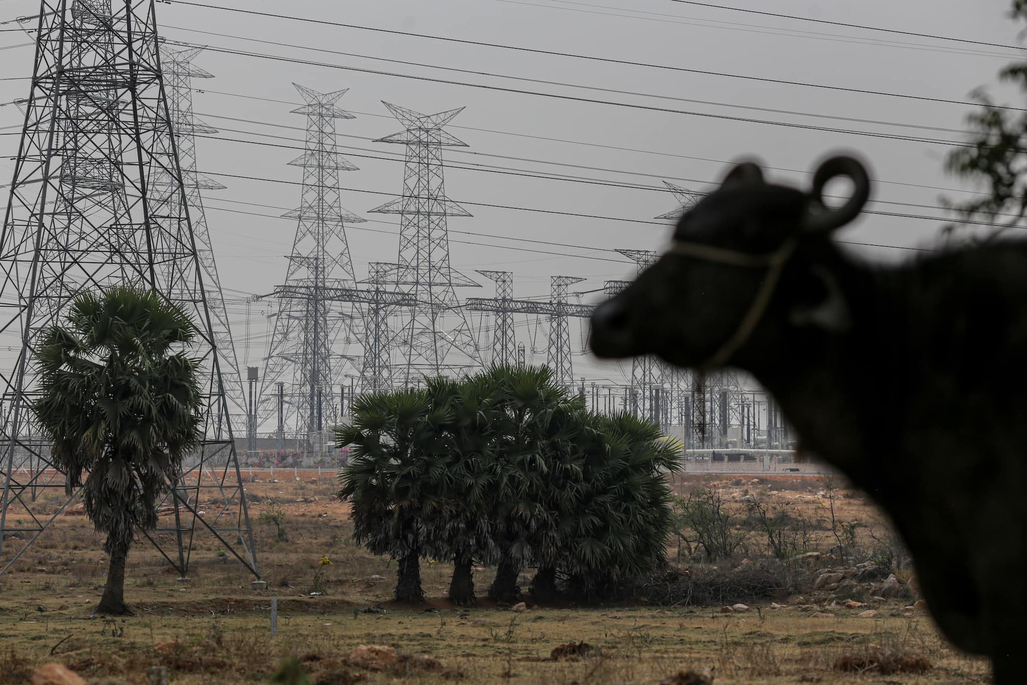 Regulator CEA asks states to seek private capital for $107 billion transmission grid expansion