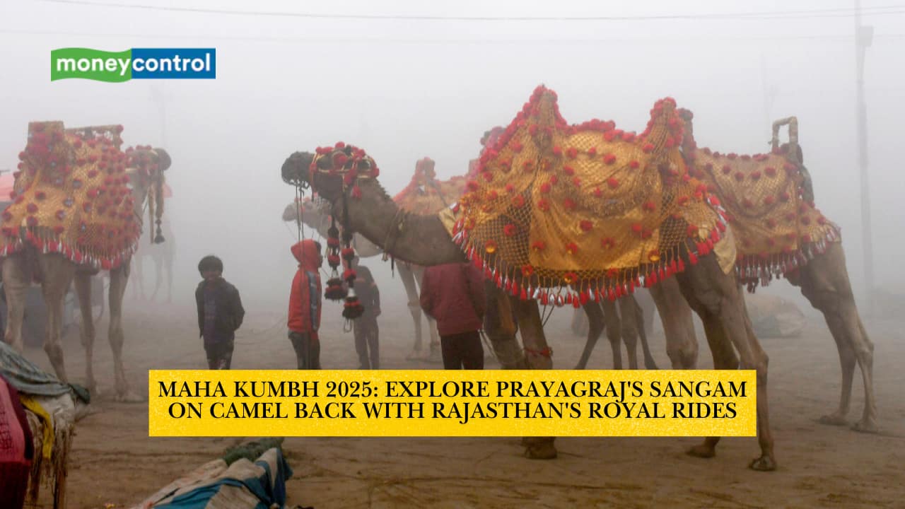 Maha Kumbh 2025: Royal camel rides at Sangam.