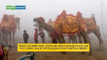 Maha Kumbh 2025: Explore Prayagraj's Sangam on Camel Back with Rajasthan's Royal Rides