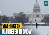 U.S winter storm hits central America, Washington blanketed in several inches of snow
