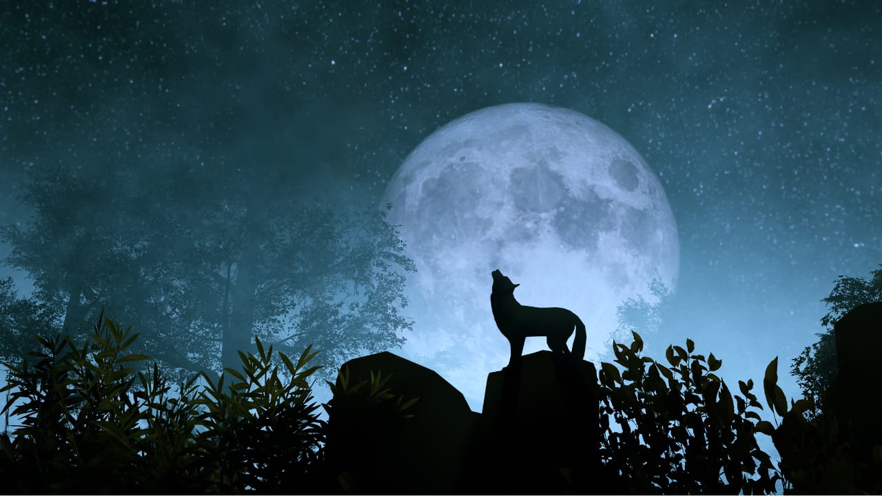Wolf Moon 2025: When is the next full moon in January this year?