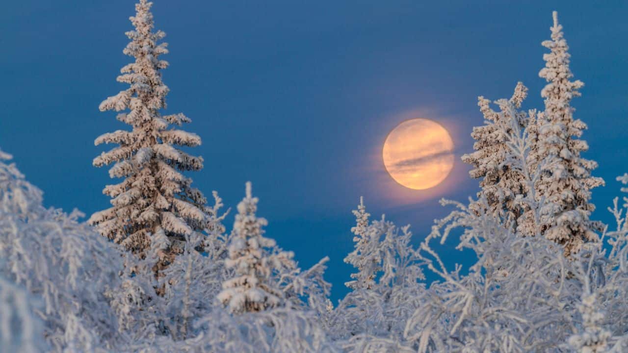  Snow Moon: The Snow Moon in February derives its name from heavy snowfall during the month. Some Native American tribes referred to it as the Hungry Moon, reflecting the food scarcity of mid-winter, while others called it the Bear Moon, marking the season of bear cub births. Among Celtic and Old English traditions, names like Storm Moon, Ice Moon, and Snow Moon were also commonly used.