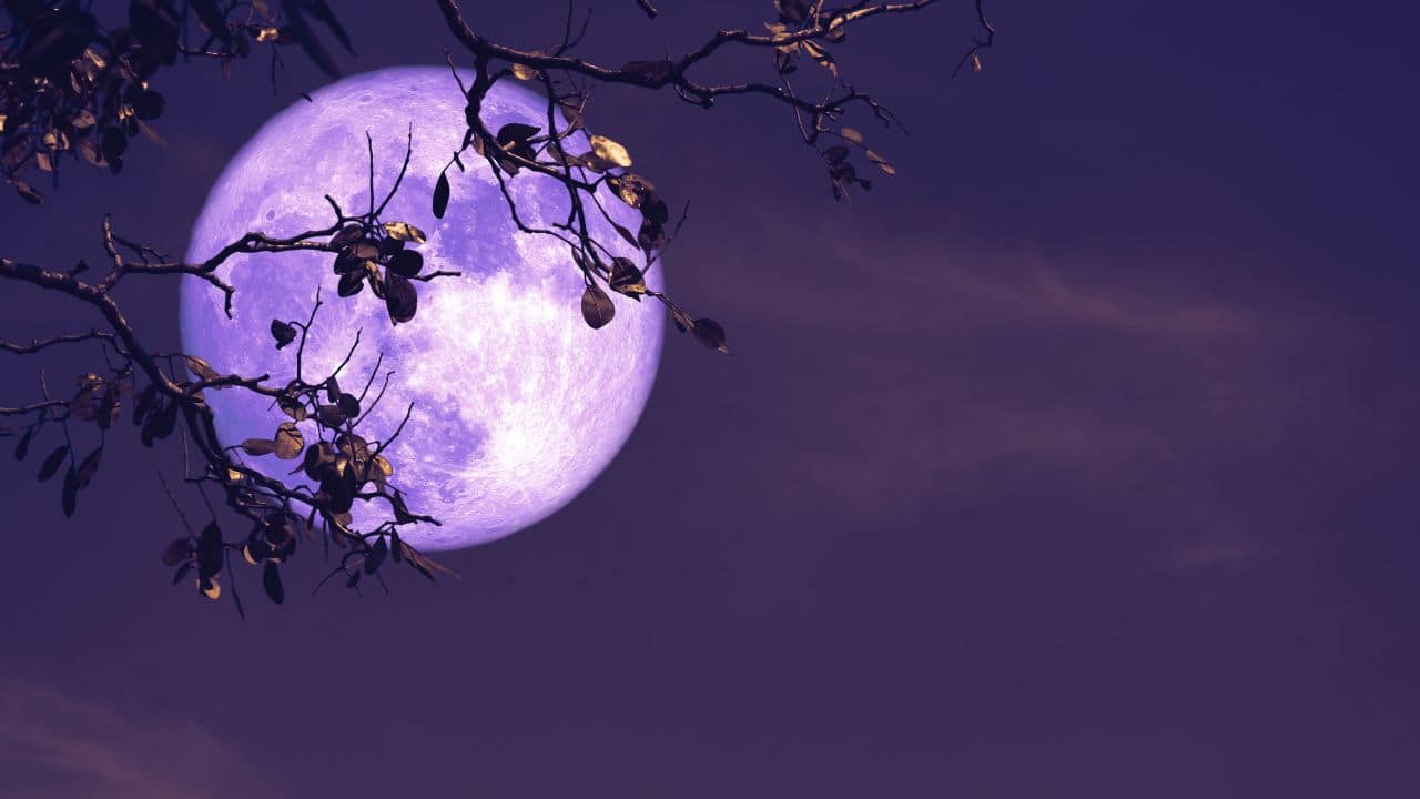BUCK MOON: July's Full Moon, known as Buck Moon, marks deer's antler growth. Native American tribes also call it Salmon, Raspberry, or Thunder Moon. In Celtic tradition, it’s the Claiming Moon, Wyrt Moon, Herb Moon, or Mead Moon.