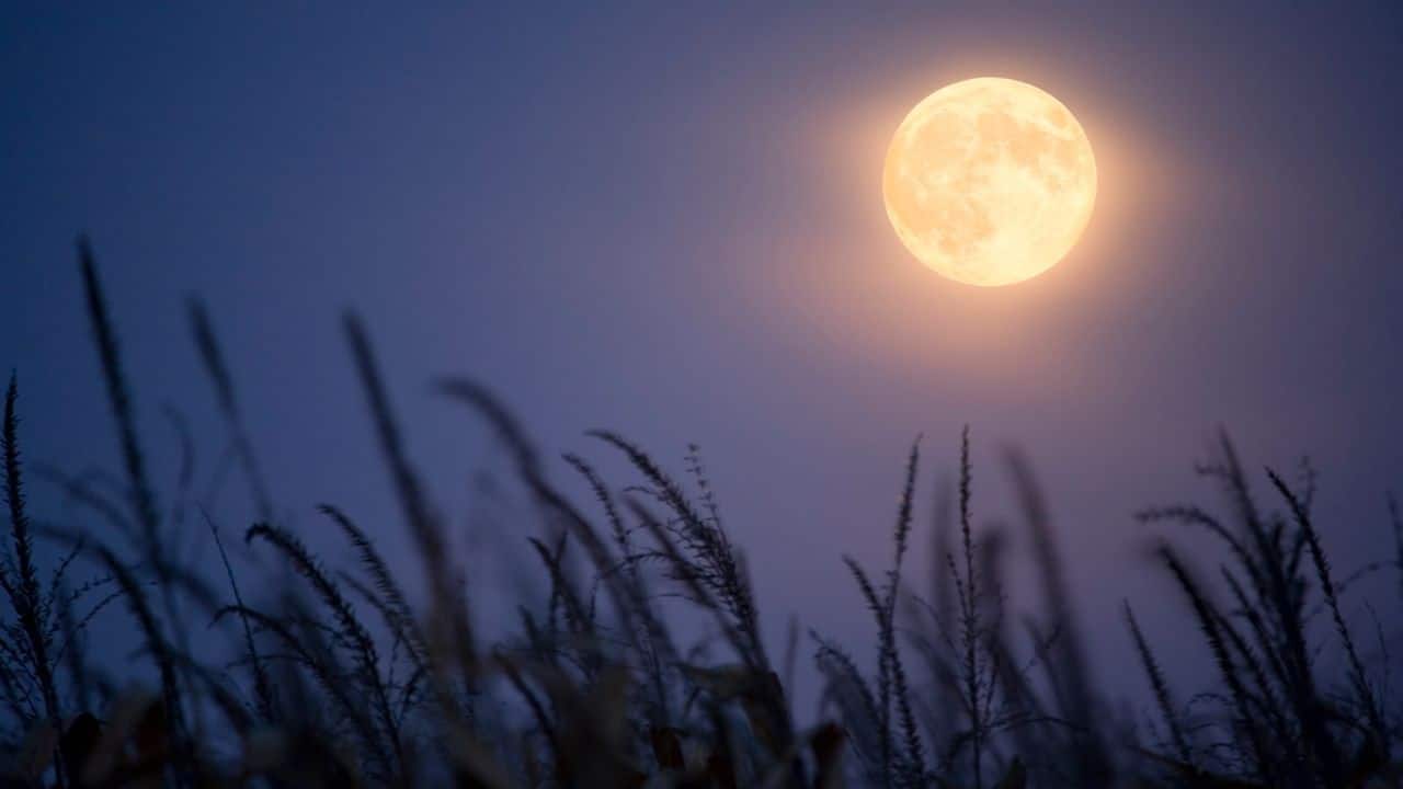 HARVEST MOON: The Harvest Moon is the Full Moon closest to the September equinox, typically around September 22. Unlike other Full Moons, its timing is based on the equinox, falling in September most years, but occasionally in October.
